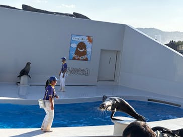 鴨川シーワールドに投稿された画像（2024/10/14）