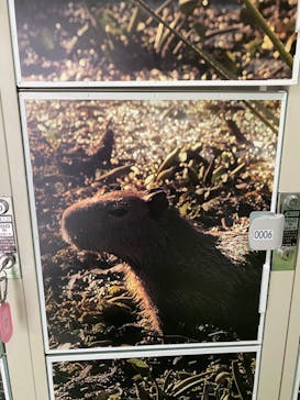 那須どうぶつ王国に投稿された画像（2024/10/14）