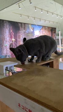 那須どうぶつ王国に投稿された画像（2024/10/14）