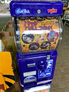 那須どうぶつ王国に投稿された画像（2024/10/14）