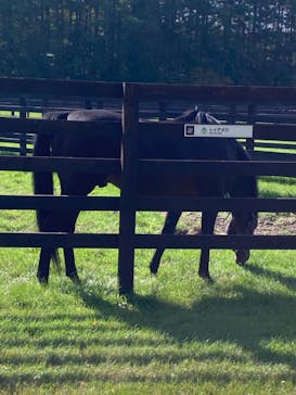 ノーザンホースパークに投稿された画像（2024/10/14）