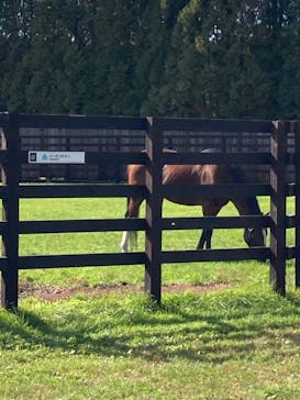 ノーザンホースパークに投稿された画像（2024/10/14）