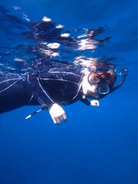 オレンジフィッシュに投稿された画像（2024/10/14）