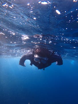 オレンジフィッシュに投稿された画像（2024/10/14）