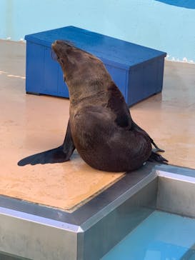 竹島水族館に投稿された画像（2024/10/14）