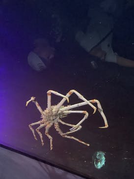 竹島水族館に投稿された画像（2024/10/14）