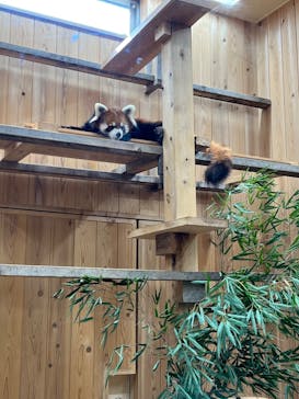 名古屋市東山動植物園に投稿された画像（2024/10/14）