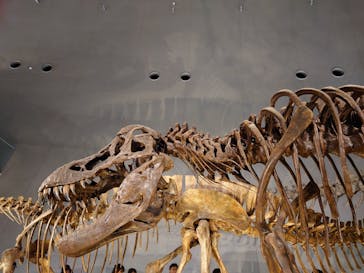 福井県立恐竜博物館に投稿された画像（2024/10/14）