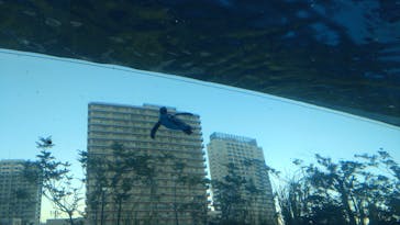 サンシャイン水族館に投稿された画像（2024/10/14）