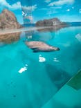 しながわ水族館に投稿された画像（2024/10/14）