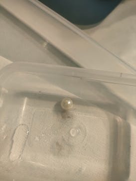 しながわ水族館に投稿された画像（2024/10/14）