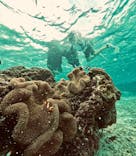 COCO宮古島に投稿された画像（2024/10/14）