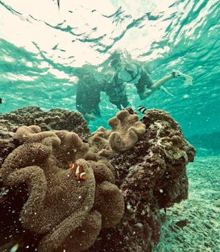COCO宮古島に投稿された画像（2024/10/14）
