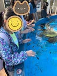 サンシャイン水族館に投稿された画像（2024/10/14）