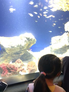 サンシャイン水族館に投稿された画像（2024/10/14）