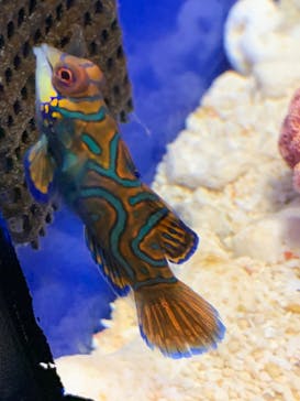 サンシャイン水族館に投稿された画像（2024/10/14）