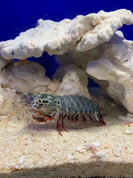 サンシャイン水族館に投稿された画像（2024/10/14）