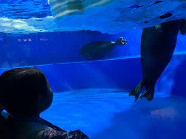 サンシャイン水族館に投稿された画像（2024/10/14）
