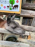しろとり動物園に投稿された画像（2024/10/14）