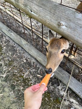 しろとり動物園に投稿された画像（2024/10/14）
