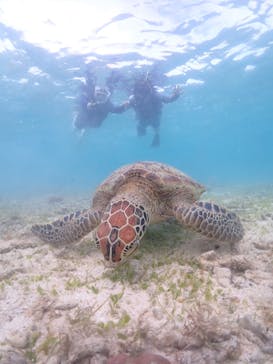 宮古島マリン GB QUESTに投稿された画像（2024/10/14）