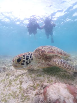 宮古島マリン GB QUESTに投稿された画像（2024/10/14）