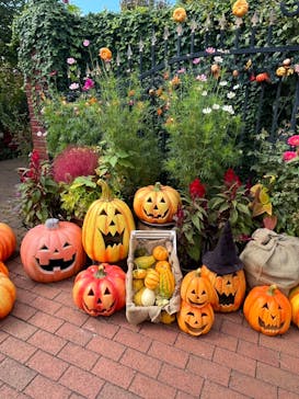 横浜イングリッシュガーデンに投稿された画像（2024/10/14）