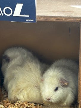 成田ゆめ牧場に投稿された画像（2024/10/14）