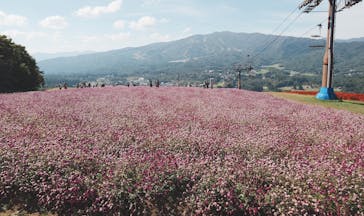 ひるがのピクニックガーデンに投稿された画像（2024/10/14）