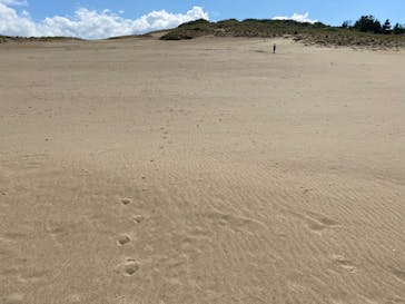 鳥取砂丘セグウェイ ワイルドアドベンチャーツアーに投稿された画像（2024/10/14）