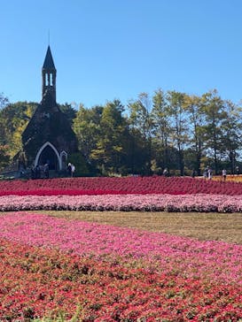 牧歌の里に投稿された画像（2024/10/14）