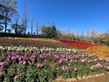 牧歌の里に投稿された画像（2024/10/14）