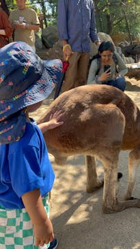 神戸どうぶつ王国に投稿された画像（2024/10/14）