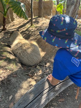 神戸どうぶつ王国に投稿された画像（2024/10/14）