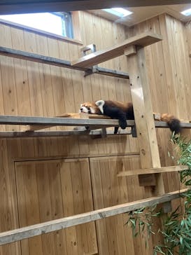 名古屋市東山動植物園に投稿された画像（2024/10/14）