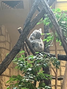 名古屋市東山動植物園に投稿された画像（2024/10/14）