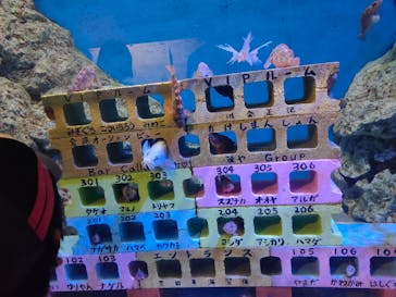 竹島水族館に投稿された画像（2024/10/14）