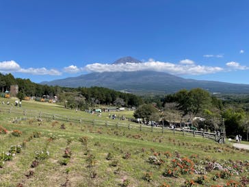 まかいの牧場に投稿された画像（2024/10/14）