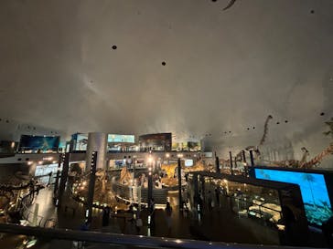 福井県立恐竜博物館に投稿された画像（2024/10/14）