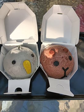 神戸どうぶつ王国に投稿された画像（2024/10/14）