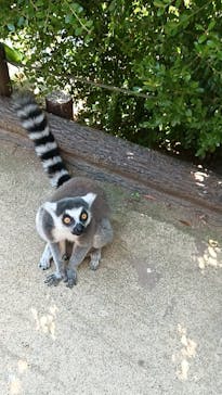 神戸どうぶつ王国に投稿された画像（2024/10/14）