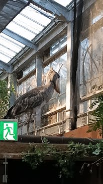 神戸どうぶつ王国に投稿された画像（2024/10/14）