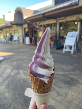 淡路ファームパーク イングランドの丘に投稿された画像（2024/10/14）