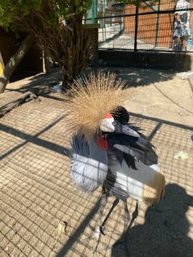 しろとり動物園に投稿された画像（2024/10/14）