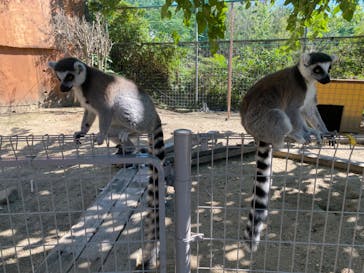 しろとり動物園に投稿された画像（2024/10/14）