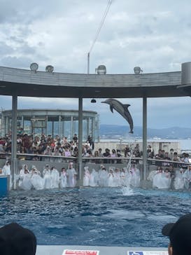 大分マリーンパレス水族館 「うみたまご」に投稿された画像（2024/10/14）