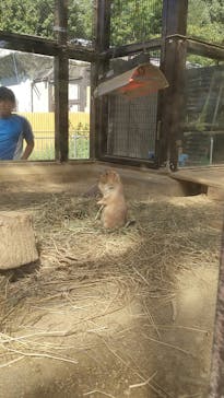 名古屋市東山動植物園に投稿された画像（2024/10/14）