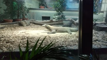 名古屋市東山動植物園に投稿された画像（2024/10/14）