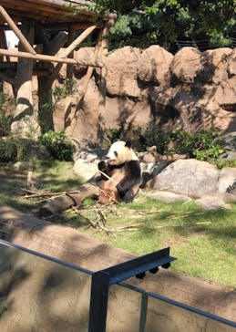 恩賜上野動物園に投稿された画像（2024/10/14）