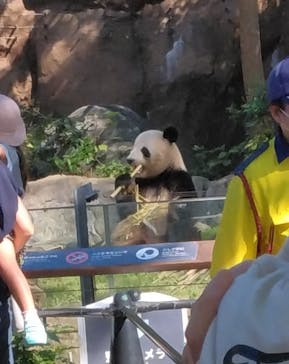 恩賜上野動物園に投稿された画像（2024/10/14）